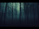 https://image.noelshack.com/minis/2018/01/1/1514765370-creepy-trees-dark-forest-mist-1920x1080-wallpaper-590866.png