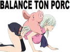 https://image.noelshack.com/fichiers/2018/01/1/1514768541-balance-ton-porc.jpg