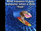 https://image.noelshack.com/fichiers/2018/01/1/1514820863-8a0.jpg