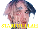 https://image.noelshack.com/fichiers/2018/01/1/1514831525-lilpeep1.png