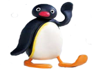 https://image.noelshack.com/fichiers/2018/01/1/1514832913-pingu.png