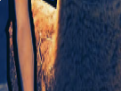 https://image.noelshack.com/fichiers/2018/01/1/1546211944-70-vcdnru4x.png