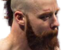 https://image.noelshack.com/fichiers/2018/01/1/1546221130-sheamus1png.png