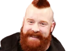 https://image.noelshack.com/fichiers/2018/01/1/1546221133-sheamus2png.png