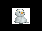 https://image.noelshack.com/minis/2018/01/2/1514889870-058.png