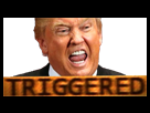 https://image.noelshack.com/minis/2018/01/3/1514979026-triggered3.png