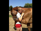 https://image.noelshack.com/minis/2018/01/3/1515010626-66fc6b8b2f0dd8d309d38487c4b4aa15-horse-love-horse-girl.png