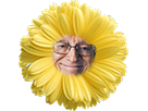 https://image.noelshack.com/fichiers/2018/01/4/1515072144-fleur2.png