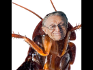 https://image.noelshack.com/fichiers/2018/01/5/1515124649-larryfard.png
