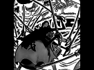 https://image.noelshack.com/fichiers/2018/01/5/1515157393-onigumo-s-spider-back.png