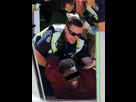https://image.noelshack.com/minis/2018/01/5/1515170380-47b902f300000578-5234025-one-of-three-teenagers-arrested-at-tarneit-cenral-shopping-centr-a-3-1515046947696.png