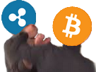 https://image.noelshack.com/minis/2018/01/5/1515188697-btc-xrp.png