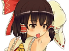 https://image.noelshack.com/minis/2018/01/7/1515289069-reimuquiselechelesaisselles.png