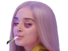 https://image.noelshack.com/minis/2018/01/7/1515289972-defoncee.png