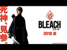 https://image.noelshack.com/fichiers/2018/01/7/1515364059-bleach-6-600x341.jpg