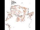https://image.noelshack.com/minis/2018/02/1/1515377551-ezgif-4-6e4142347d.png
