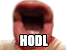 https://www.noelshack.com/2018-02-1-1515423540-hodl.png