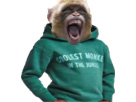 https://image.noelshack.com/minis/2018/02/1/1515442742-monkey-h-m.png