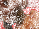 https://image.noelshack.com/minis/2018/02/3/1515619029-1422329280888.png