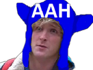 https://image.noelshack.com/fichiers/2018/02/4/1515683137-logang.jpg