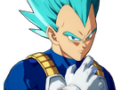 https://image.noelshack.com/fichiers/2018/02/5/1515755028-vegeta-blue-2.png