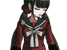https://image.noelshack.com/fichiers/2018/02/6/1515848082-maki5.png
