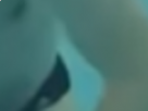 https://image.noelshack.com/minis/2018/02/6/1515870139-19-18pinr93.png