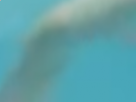https://image.noelshack.com/minis/2018/02/6/1515870250-13-oxq7fkva.png