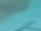 https://image.noelshack.com/minis/2018/02/6/1515870255-25-oxq7fkva.png