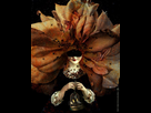 1515915900-marta3.jpg - envoi d'image avec NoelShack