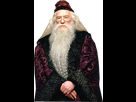 https://image.noelshack.com/fichiers/2018/02/7/1515944589-dumbledore.png