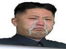 https://image.noelshack.com/fichiers/2018/03/1/1515993976-triste.jpg