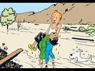 https://image.noelshack.com/fichiers/2018/03/1/1516025203-tintin-sauve-tchang-de-la-noyade-yang-tse.jpg