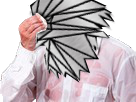 https://image.noelshack.com/fichiers/2018/03/1/1516040239-oao.png