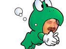 https://image.noelshack.com/fichiers/2018/03/1/1516047723-risistas-frog.png