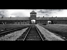https://image.noelshack.com/minis/2018/03/2/1516106603-auschwitz.png