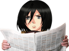 https://image.noelshack.com/fichiers/2018/03/2/1516142125-mikasa-journal.png