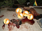https://image.noelshack.com/minis/2018/03/3/1516146238-410cabezas.png