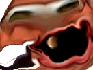 https://image.noelshack.com/minis/2018/03/3/1516185394-4938.png