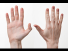 https://image.noelshack.com/fichiers/2018/03/4/1516294120-human-hands-front-back.jpg