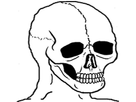 https://image.noelshack.com/minis/2018/03/5/1516397174-1493363045692.png