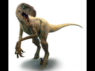 https://image.noelshack.com/fichiers/2018/03/6/1516434482-velociraptor-12-c4fd.jpg