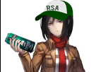 https://image.noelshack.com/fichiers/2018/03/7/1516493233-mikasa-rsa.png