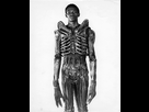 https://image.noelshack.com/minis/2018/03/7/1516529749-bolaji-badejo-acteur-alien-film.png
