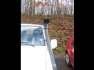 1516627390-p1000736.png