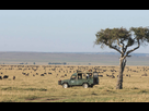 https://image.noelshack.com/minis/2018/04/1/1516641486-governors-safari-40640341-1484756536-imagegallerylightbox.png