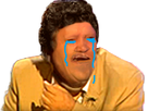 https://image.noelshack.com/fichiers/2018/04/1/1516661231-triste.png