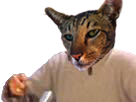 https://image.noelshack.com/fichiers/2018/04/1/1516661441-1516544907-jesus-sucezczecezr-risitas.png