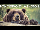 https://image.noelshack.com/minis/2018/04/2/1516709499-bored-grizzly-bear.png