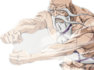 https://image.noelshack.com/fichiers/2018/04/2/1516727274-sokotsu.png